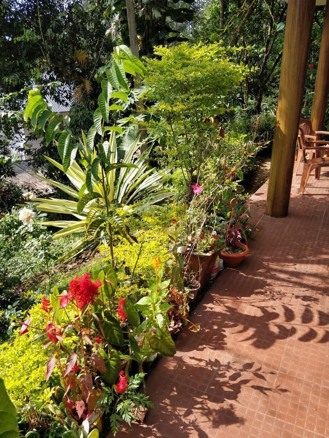 River View Inn Munnar Exterior foto